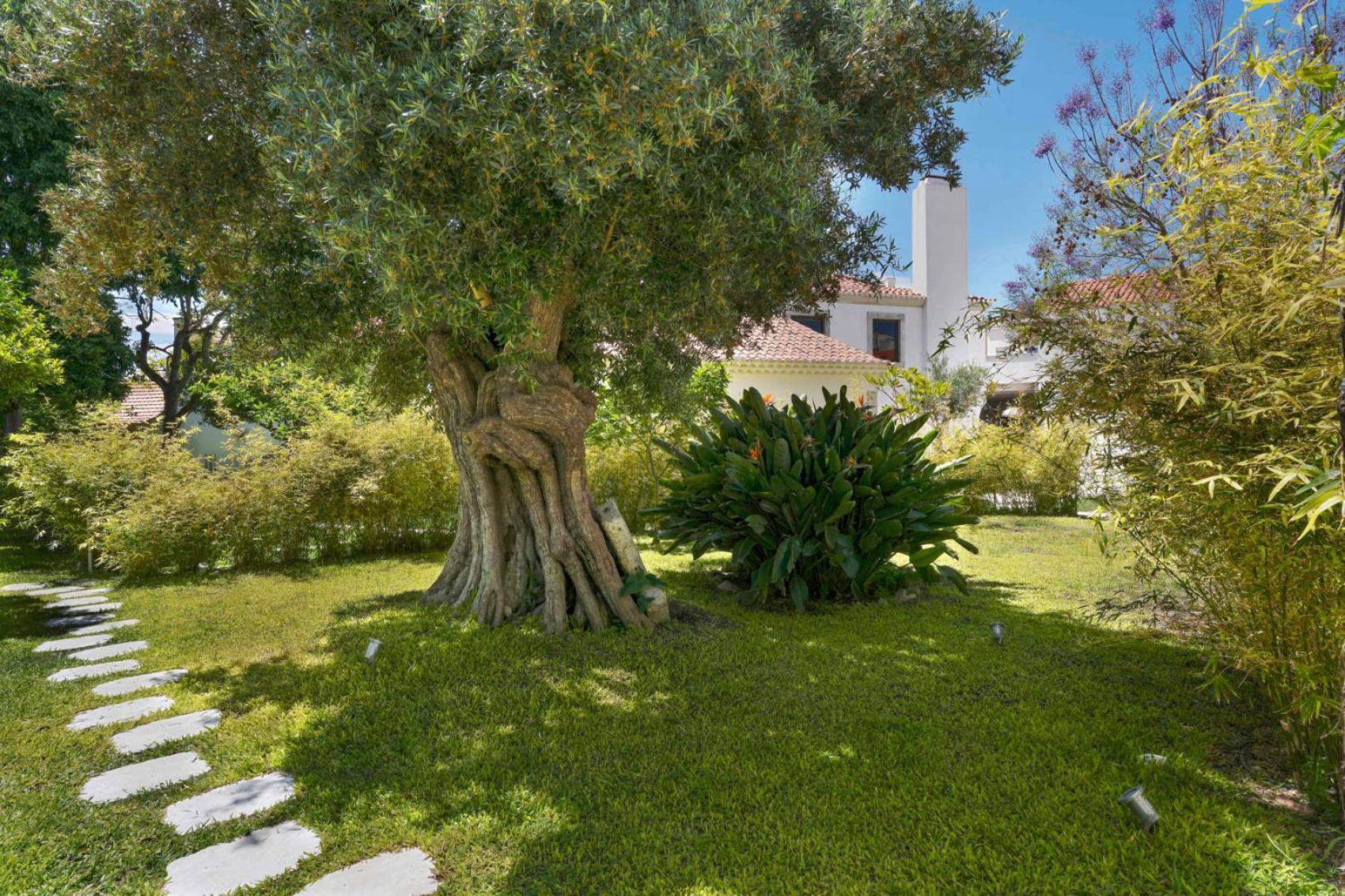 Jardim De Copas Apartman Alcochete Kültér fotó